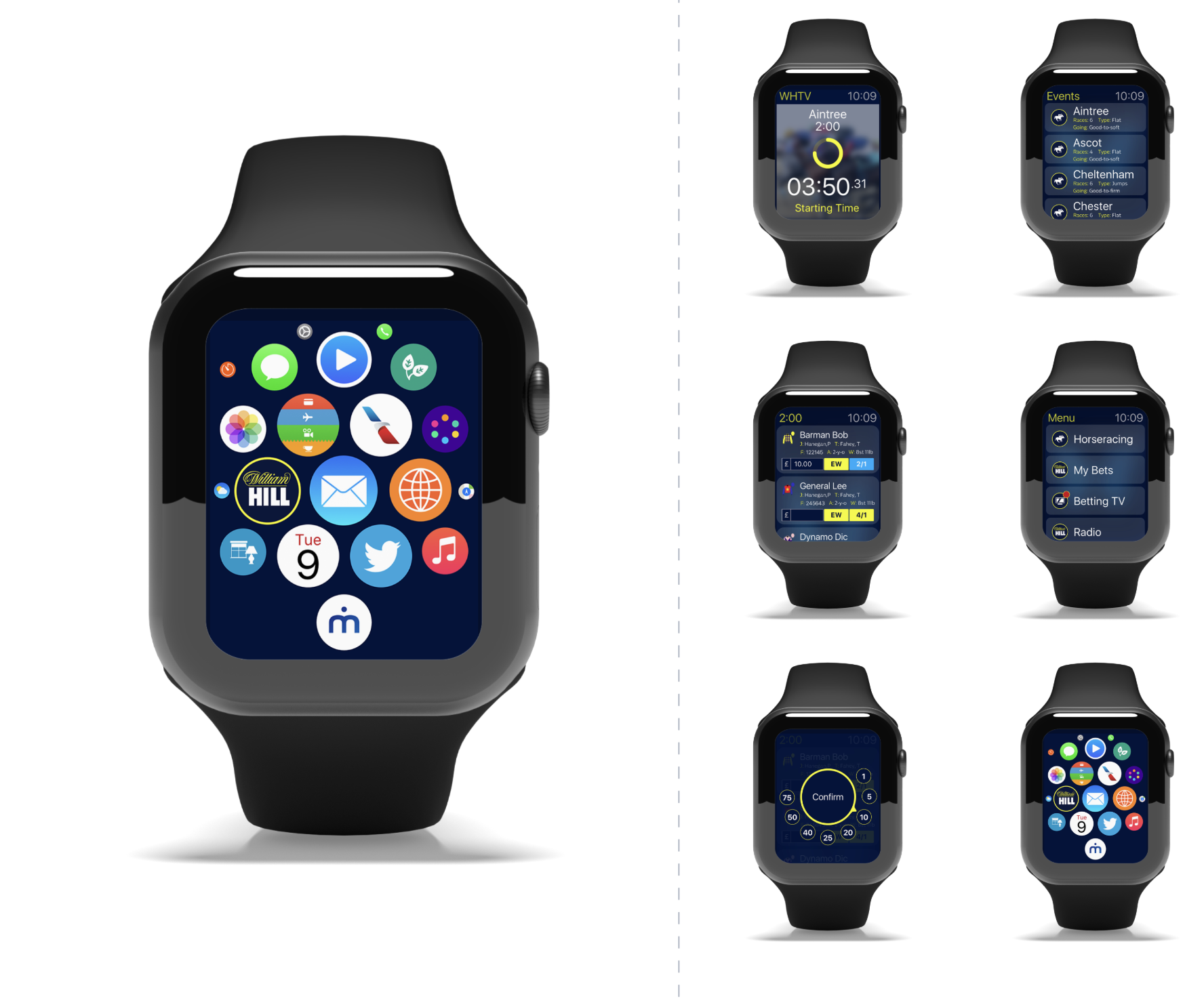 Apple Watch — companion app for horseracing